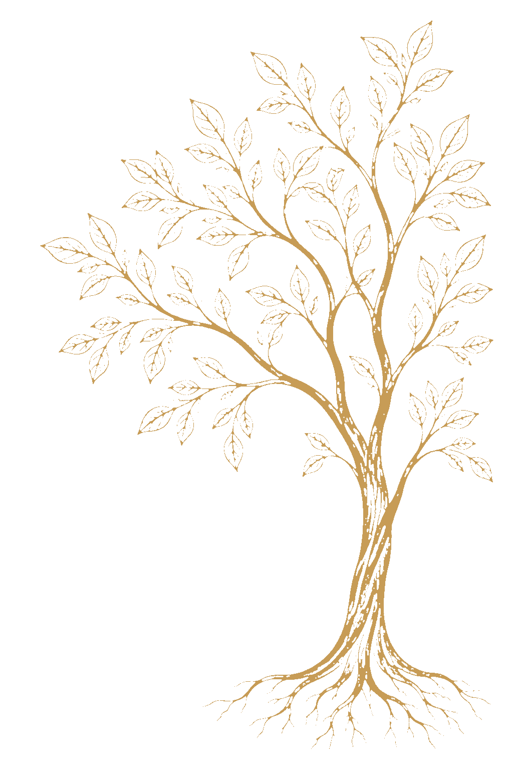 Golden tree beside the John 10:10 scripture card