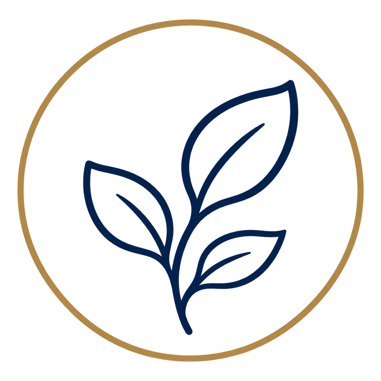 Nutrition service icon